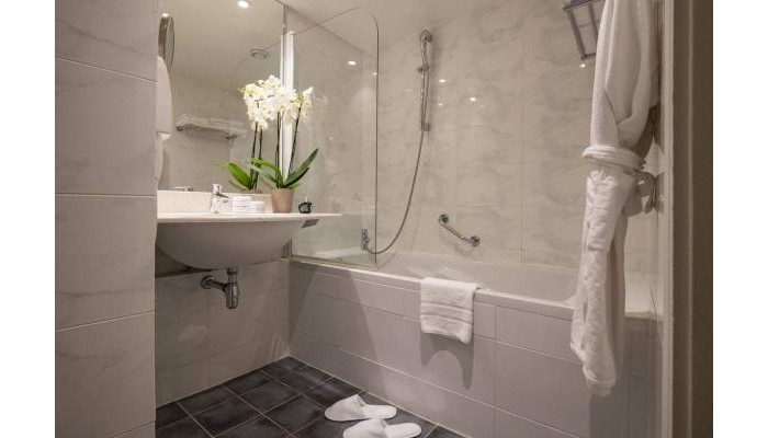 Hotel Best Western Alba poza 6