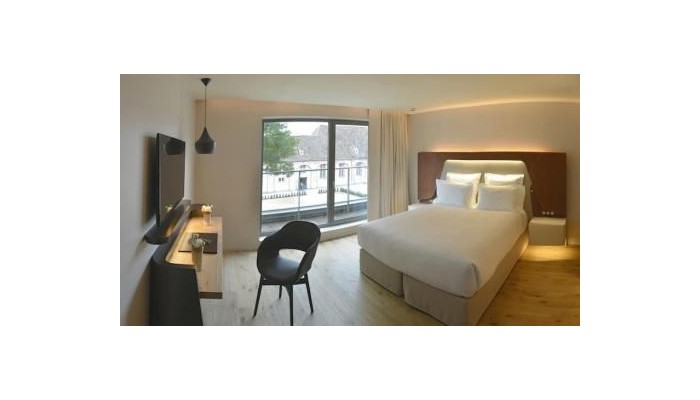 Hotel Les Haras poza 7